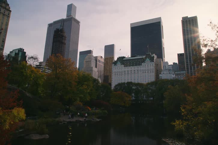 In central park new york city the still water reflects brown trees during autumn