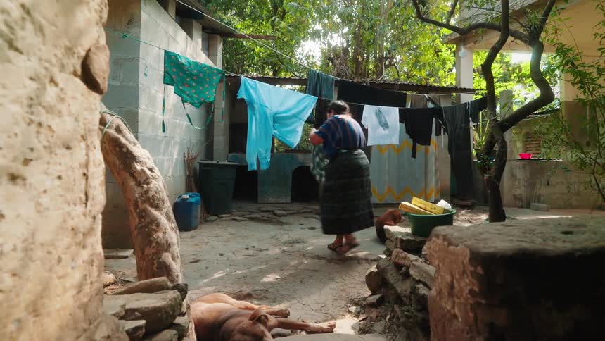 A woman hanging laundry in a backyard where a dog lies on the ground