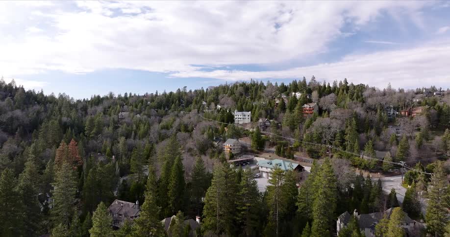 Aerial view of the suburbs with houses and several pine trees scattered throughout