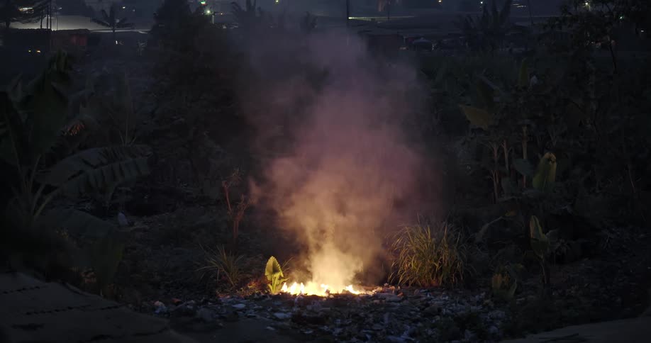 A small fire on the ground next to small plants on a night