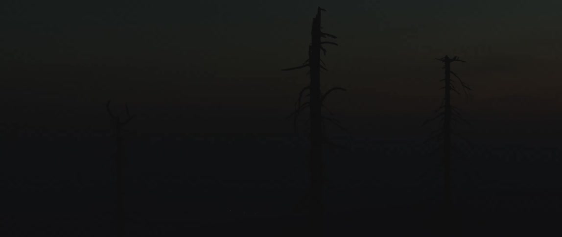 Dark forest with a reddish dawn sky
