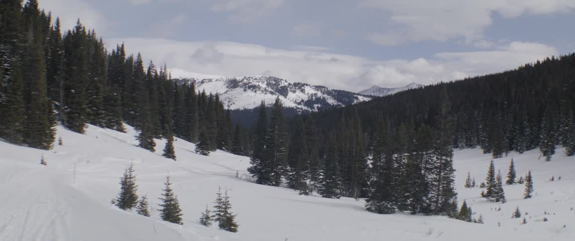 A forested valley near a mountain range