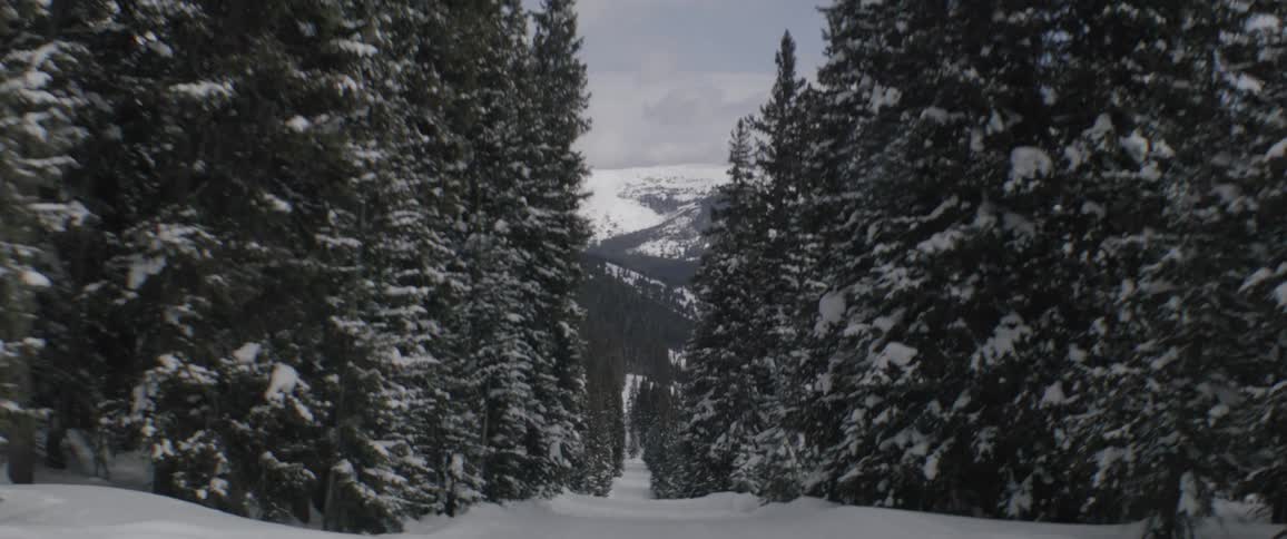 Snow covered path through a mountain with conifers around during the day