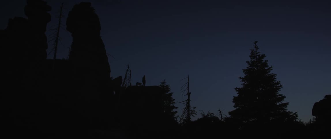 It is dark in the forest