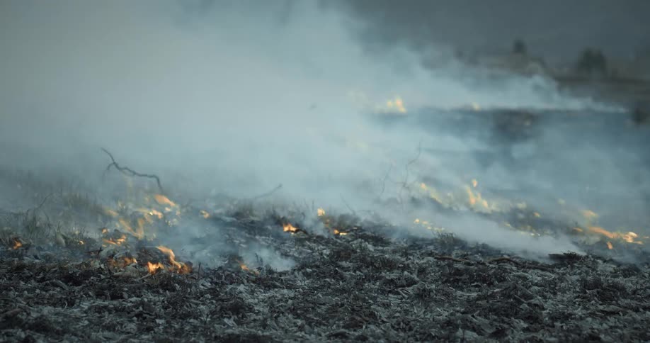 A burning field with clouds of smoke polluting the air