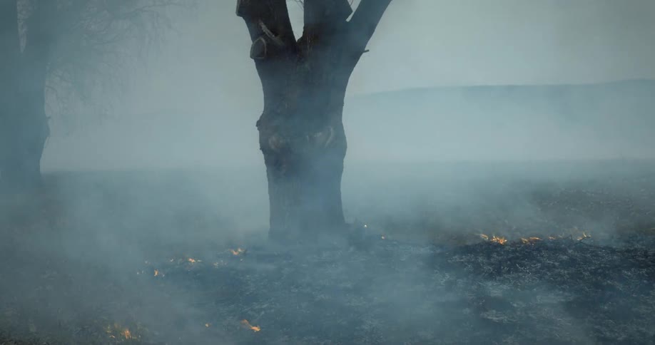 A burning forest covered in smoke
