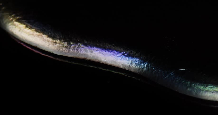 Light reflects off the object