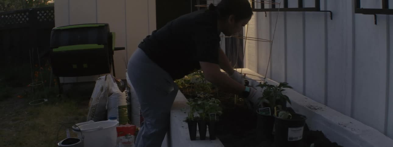 A woman moves plants around a large gardening bed