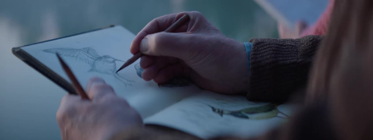 A human hand with long clothing sleeves is using a pencil to draw a bird in a white sheet notebook