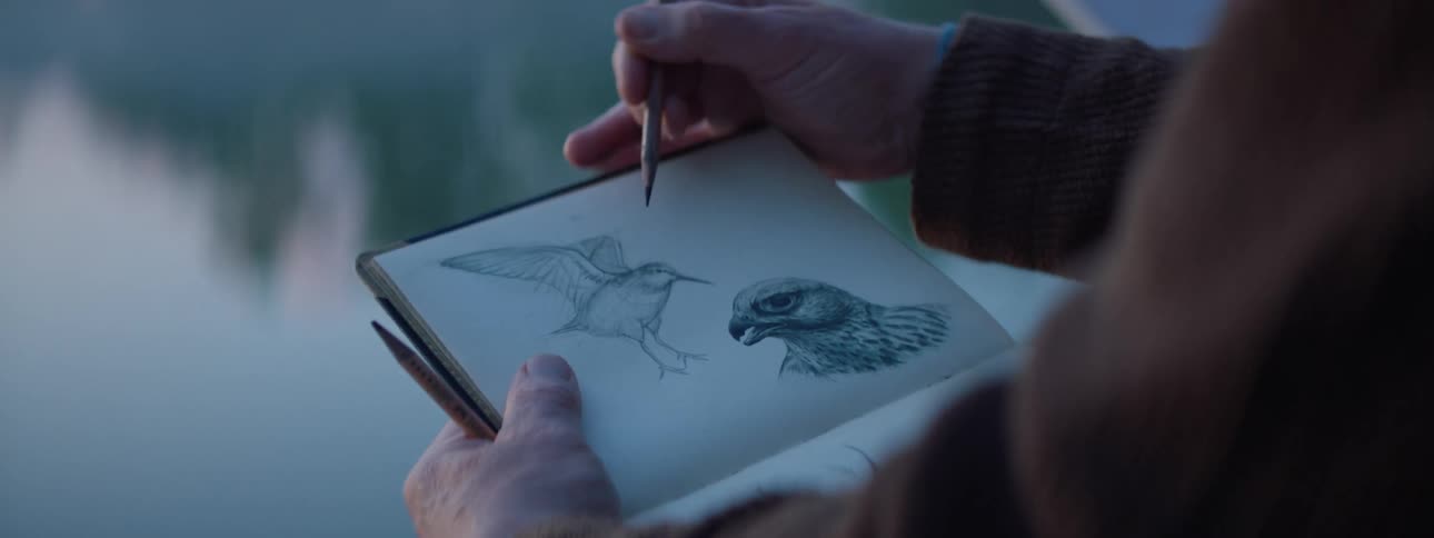 A person illustrating birds in a notebook outdoors