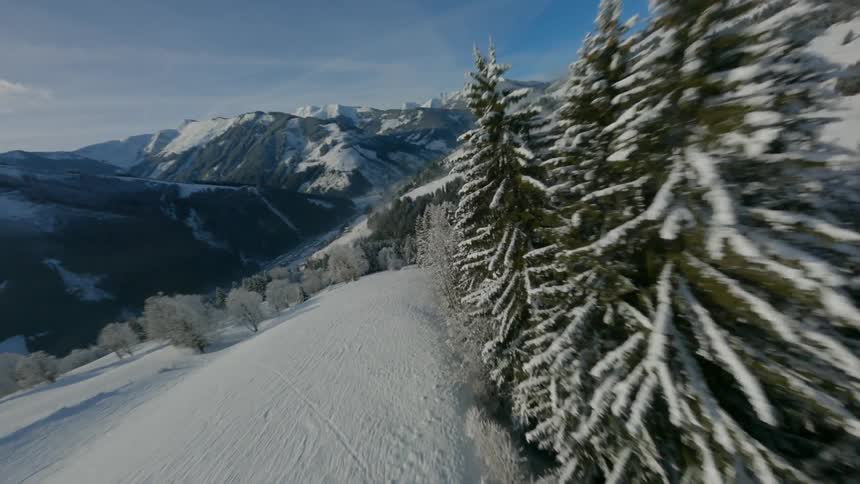 A mountain range and trees covered in snow