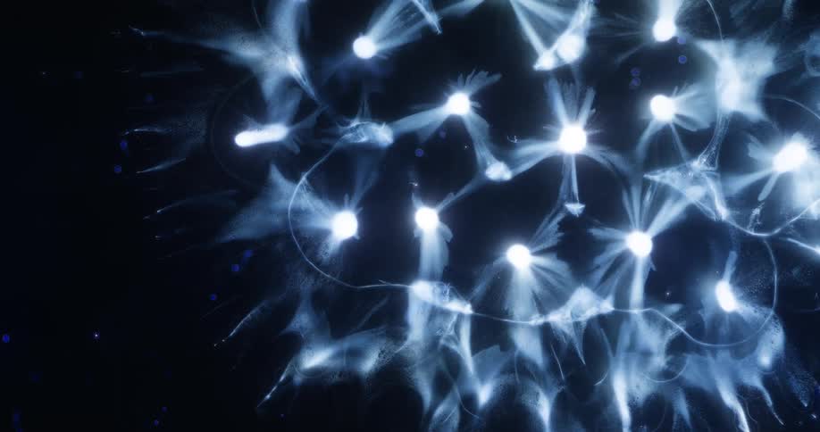 Computer generated lights that pulse with energy