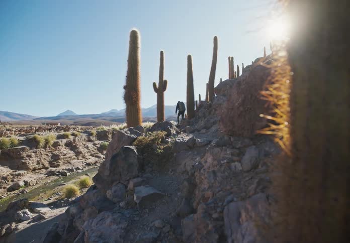 Person hiking through hills and mountains with rocks and cactus desert vegetation during the day