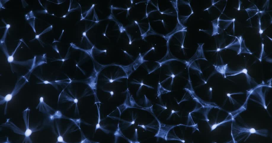 Bluish abstract fractals on a black background