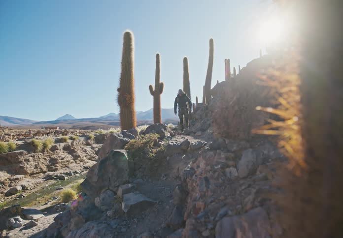 A person who is walking on a stone path in a desert with many rocks and cacti and there is strong sunlight