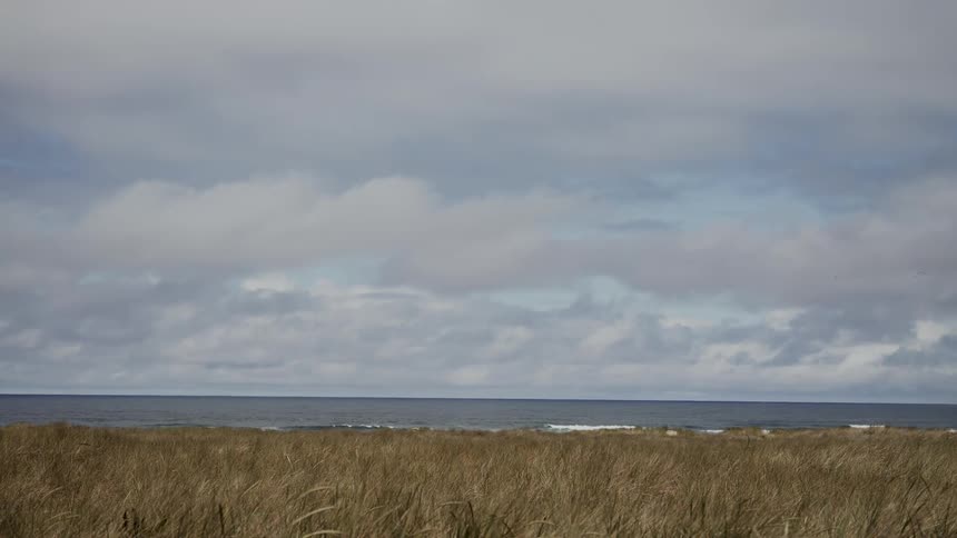 Ocean tides wash up on shore