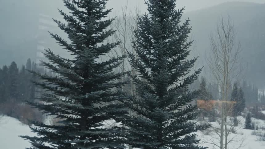 A view of some snow falling in a forest mountain area