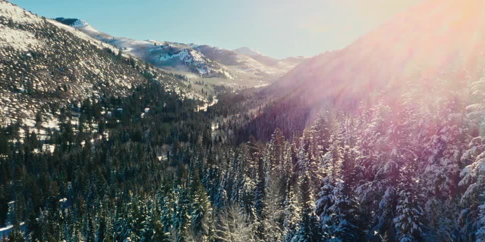 A sprawling forest fills in a valley between several snowcovered mountains