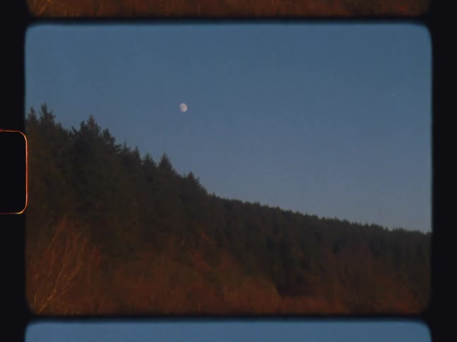 The mountain is covered with trees