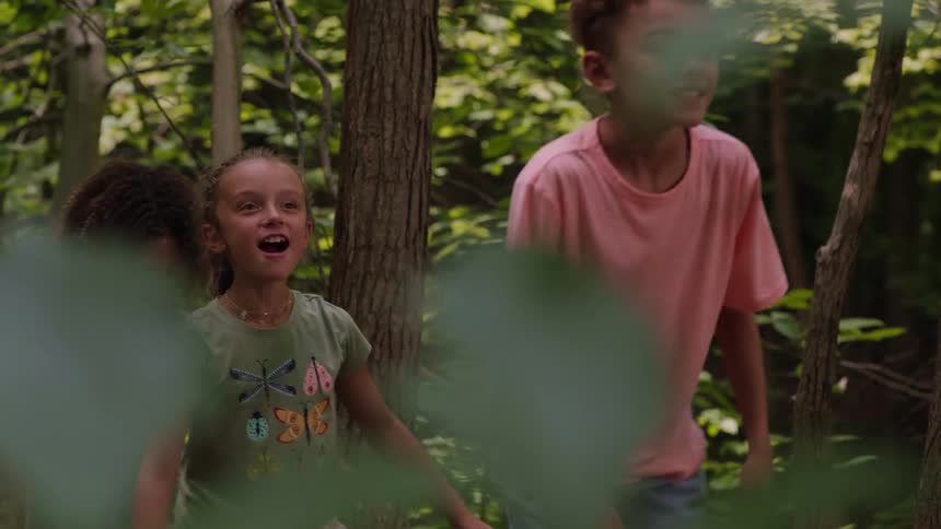 Children hike through the forest together