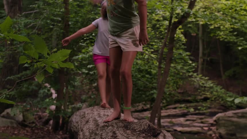 Children balance while walking over the fallen tree