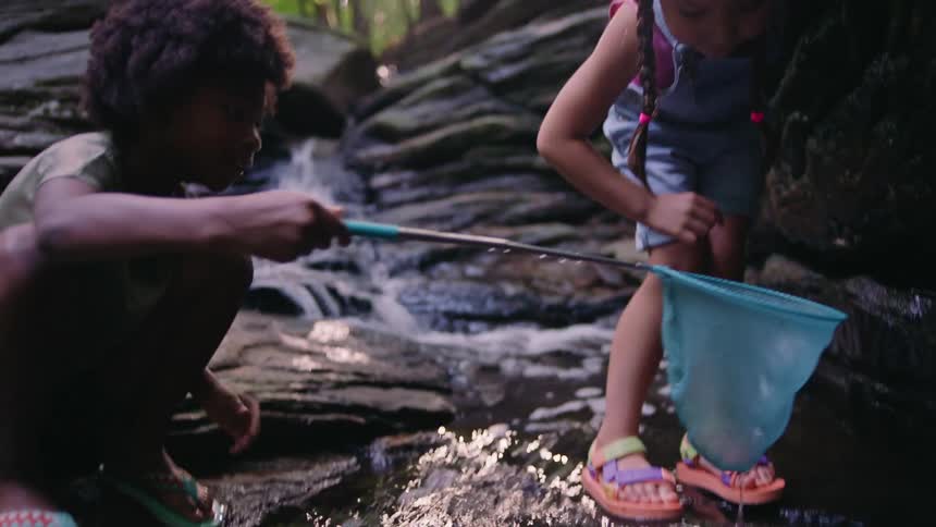 Children are using a small net in the stream