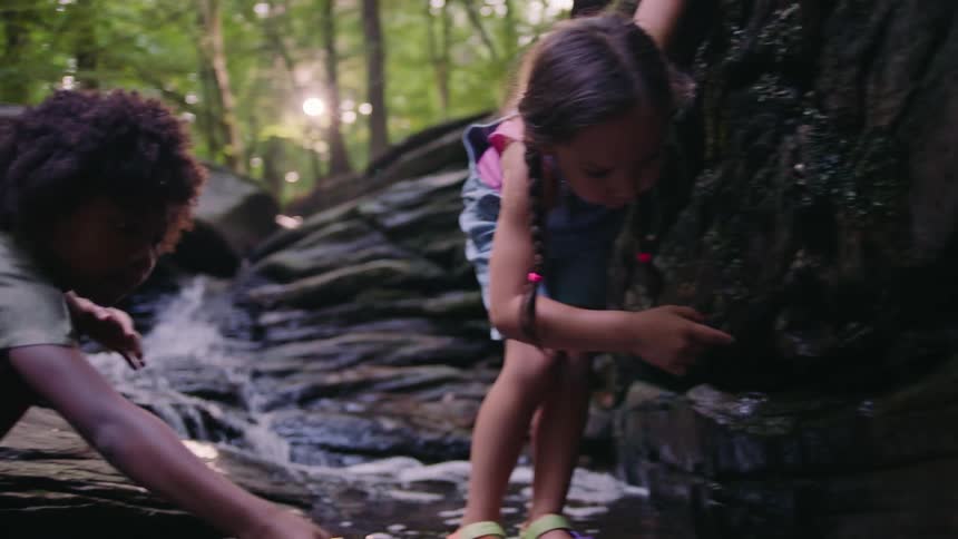 A child is using a net to catch something in the stream