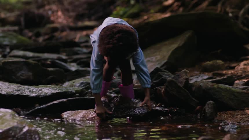 Little girl in a river in the forest trying to lift a stone and then releasing it