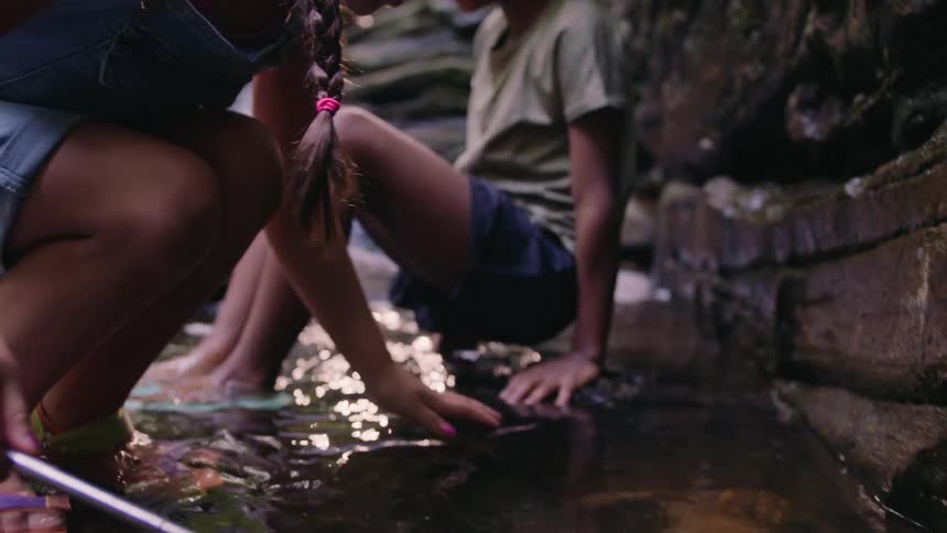 Two girls fish in a stream with a net