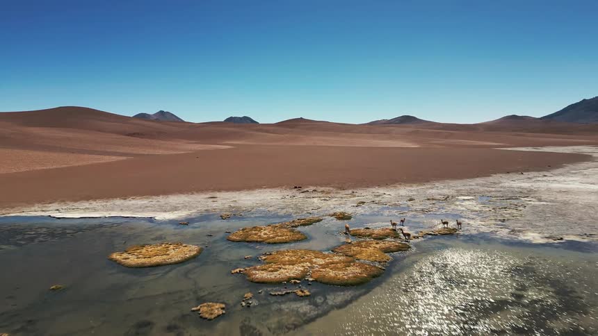 A fly over of an oasis in the desert