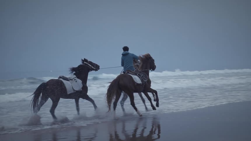 A male riding on a horse with two other horses beside him on a seashore