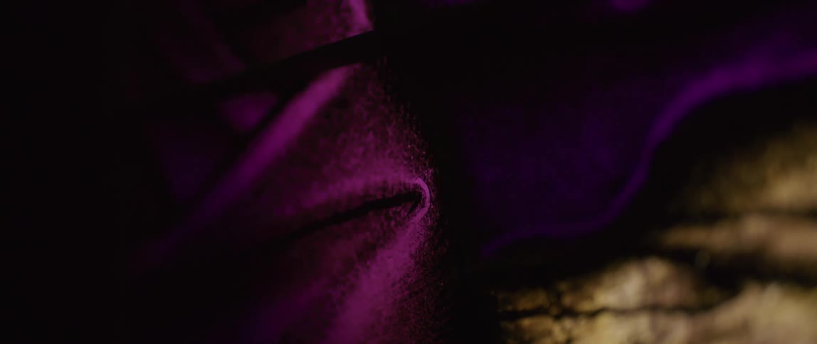 Closeup inside a purple mesh