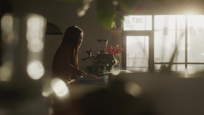 Woman standing in a restaurant cleaning the counter