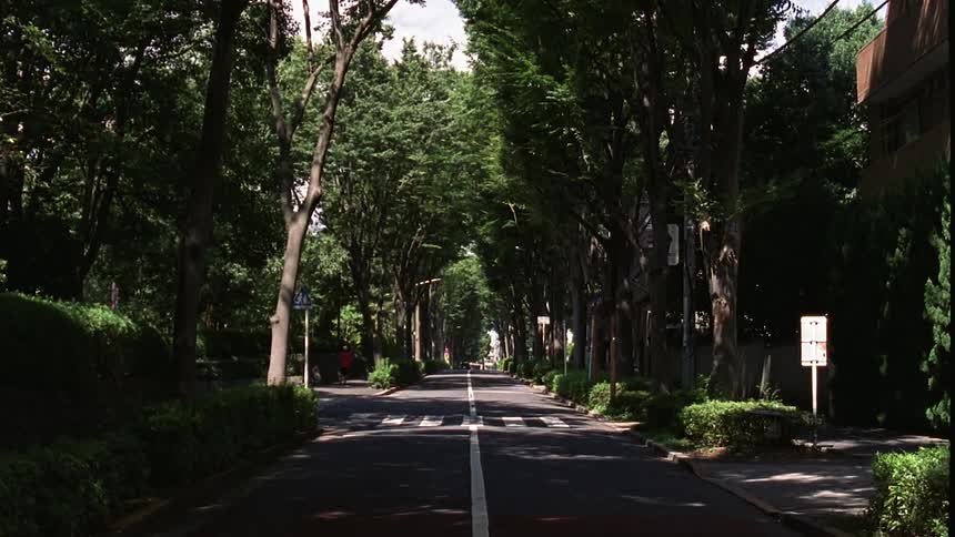 A paved city street with trees around it and a person running along the sidewalk