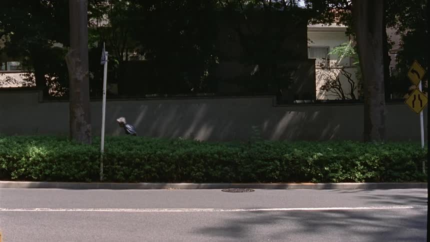 Stooped individual walks between wall and hedge lining road
