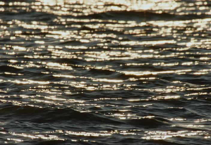 Sunlight reflects on gentle ocean waves