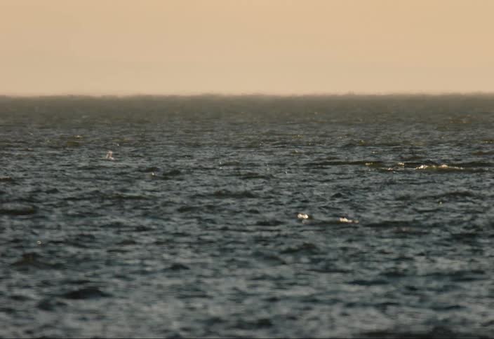 Low waves flow across ocean surface creating small splashes at sunset
