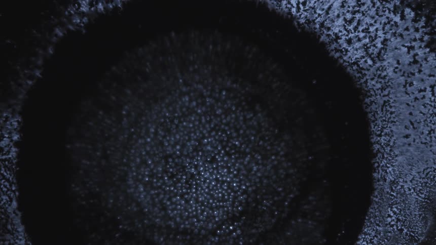 A black circular object is expanding and around there are white particles and in the center these white particles emerge