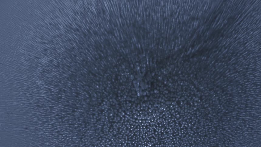 Several very fine and small white dots are emerging from a black background