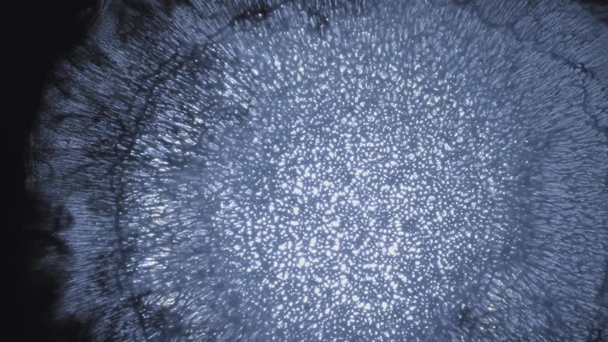 An abstract circular shaped object is expanding