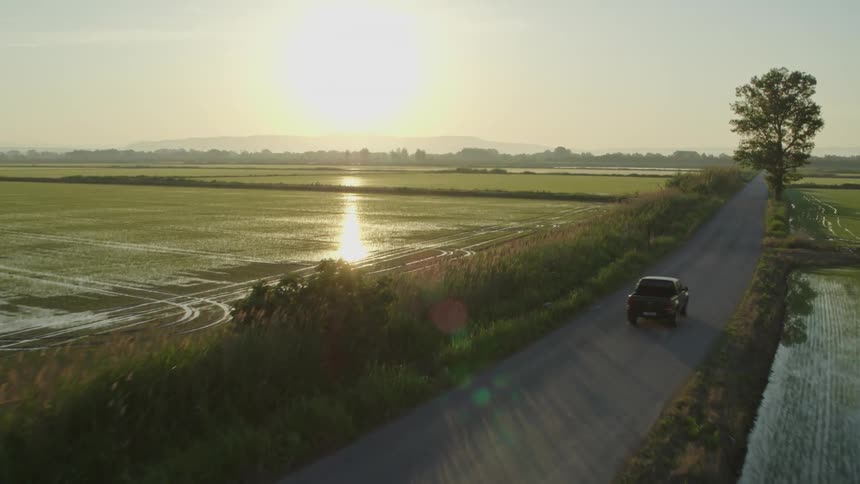 A truck drives on a road next to rice fields