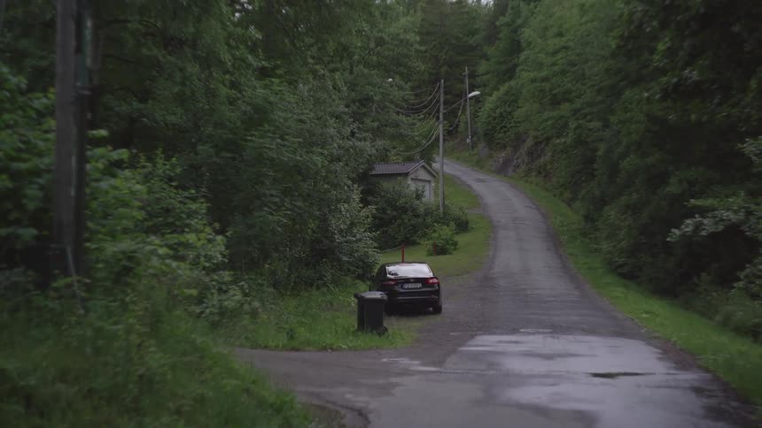 Black sedan car parked on a narrow street surrounded by forest