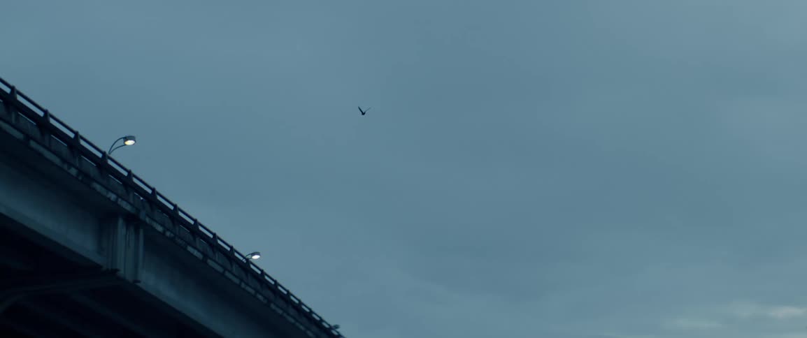 A bird flies over a roadway at dusk