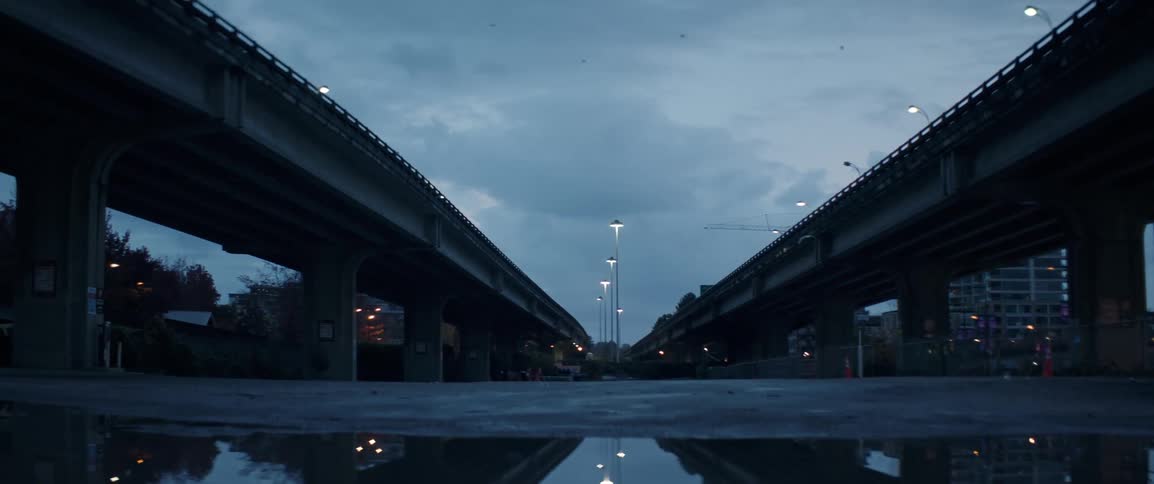 A bird flies over the roadways leading into the city
