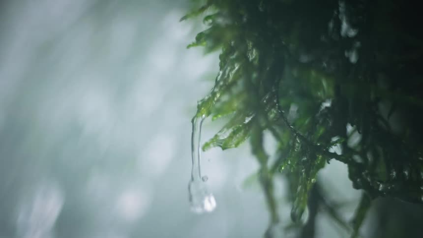 The waterfall splashes down