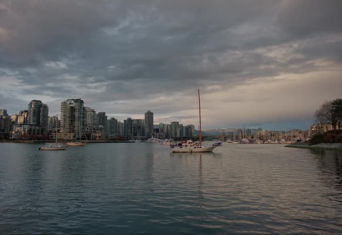 Sailboats parked in calm water near a marina and city skyline
