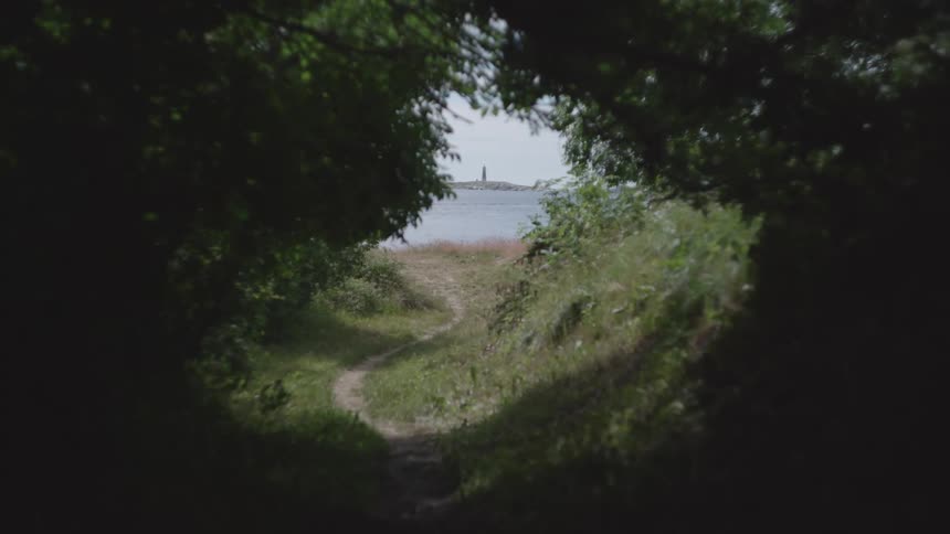 A clip of a bushy narrow path that leads to the sea