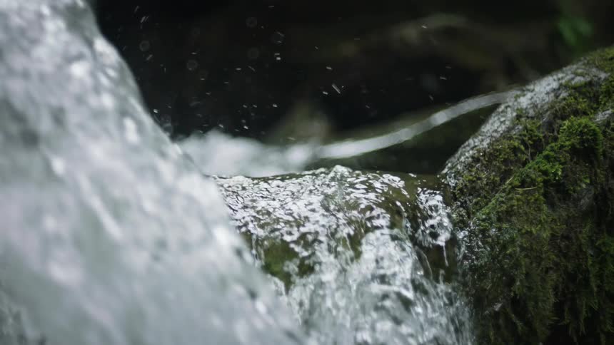 Water flows over a mossy rock