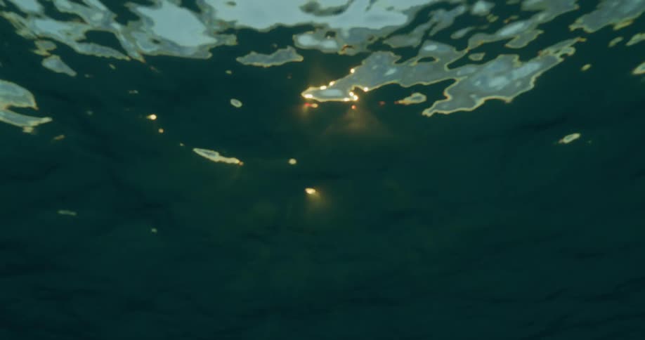 Sunlight shines through a body of water