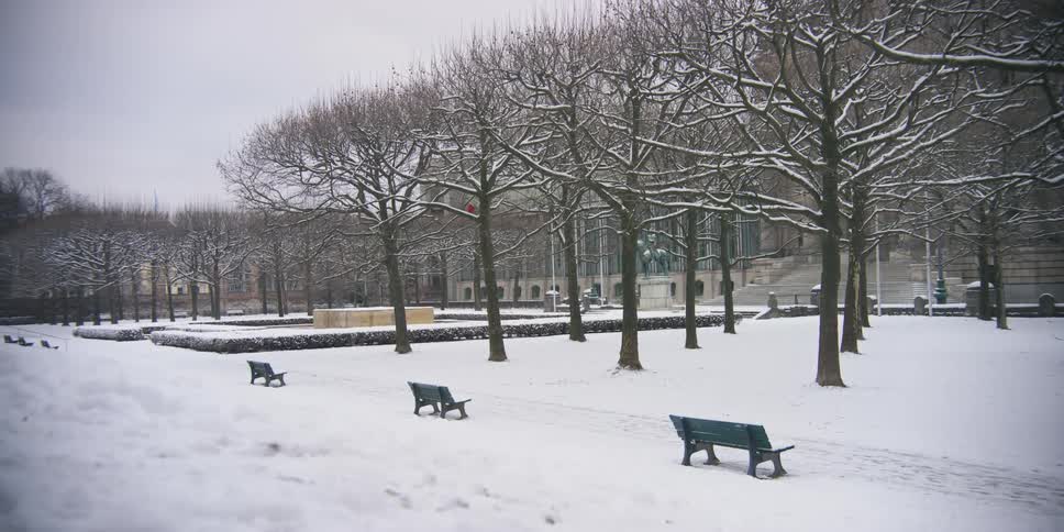 A square with a lot of snow on the ground and several trees and there are some benches facing a building